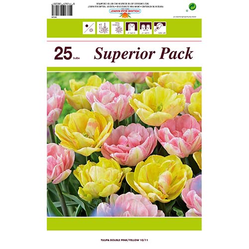 Komplet 2 sort tulipanov slika 1 članek 70316