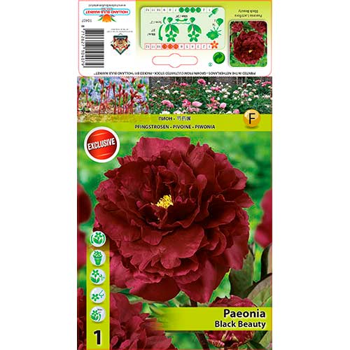 Potonika Black Beauty slika 1 članek 76335