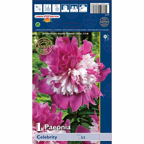 Potonika Celebrity slika 1 članek 76129