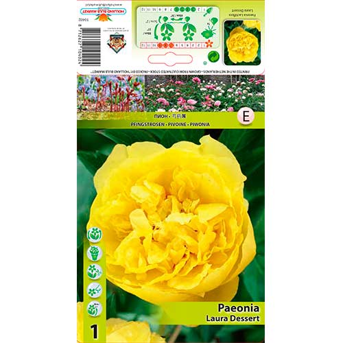 Potonika Laura Desert slika 1 članek 76614