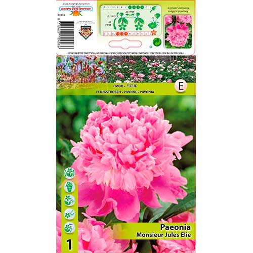 Potonika Monsieur Jules Elie slika 1 članek 76615