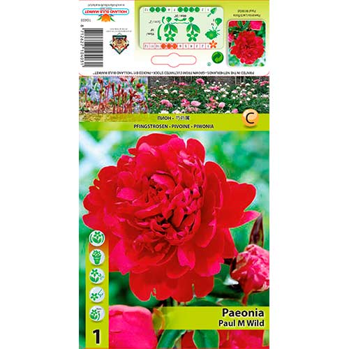 Potonika Paul m Wild slika 1 članek 76338