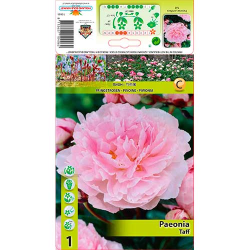 Potonika Tuff slika 1 članek 76341