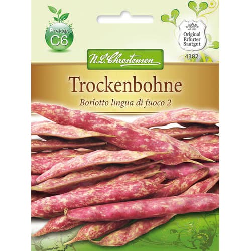 Pritlikav fižol Borlotto lingua di fuoco 2 slika 1 članek 78828