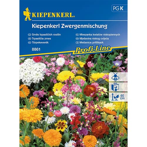 Pritlikave cvetlice, večbarvna mešanica slika 1 članek 87250