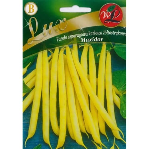 Pritlikavi fižol Maxidor slika 1 članek 96818