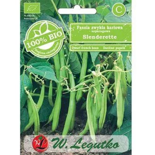 Pritlikavi fižol Slenderette slika 1 članek 96828