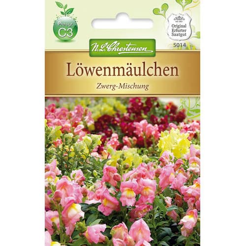 Pritlikavi odolin - večbarvna mešanica slika 1 članek 78889