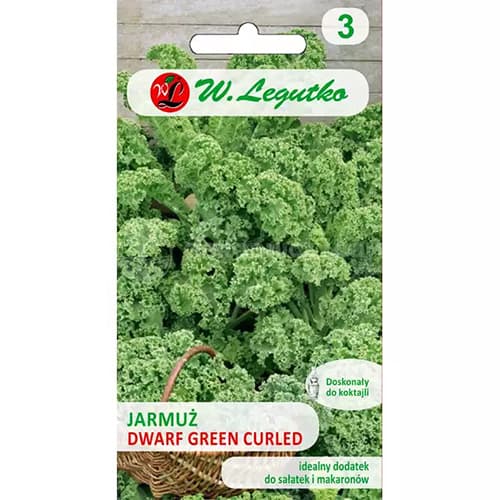 Pritlikavi ohrovt Green Curled slika 1 članek 69474