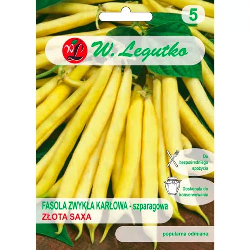 Pritlikavi stročji fižol Złota Saxa slika 1 članek 50129