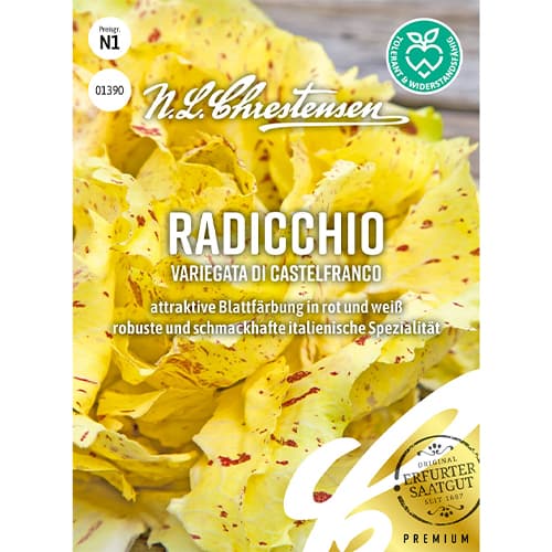 Radič Variegata di Castelfranco slika 1 članek 86082