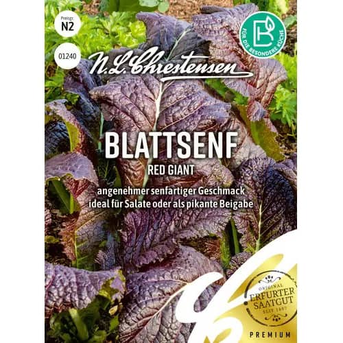 Rdeča gorčica Red Giant slika 1 članek 87829