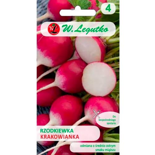 Rdeča in bela redkev Krakowianka slika 1 članek 50137