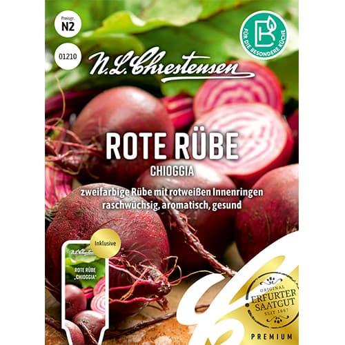 Rdeča pesa Chioggia slika 1 članek 96490