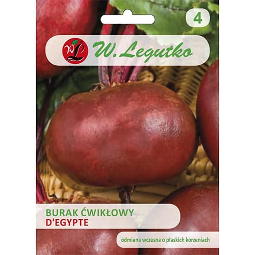 Rdeča pesa D'Egypte slika 1 članek 78447