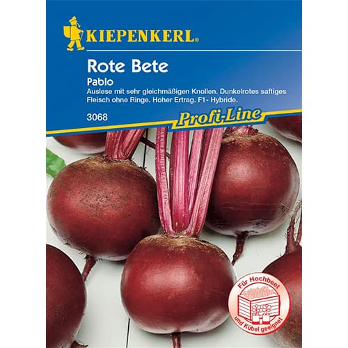 Rdeča pesa Pablo F1 slika 1 članek 86518