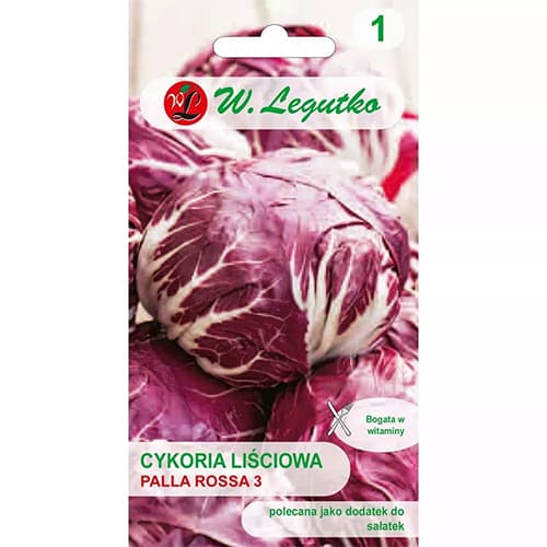 Rdeči radič Palla Rossa slika 1 članek 69458