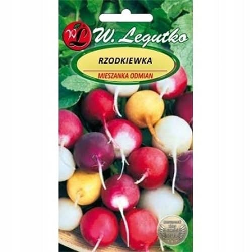 Redkev, mešanica sort 2 slika 1 članek 69538