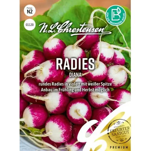 Redkvica Diana slika 1 članek 86088