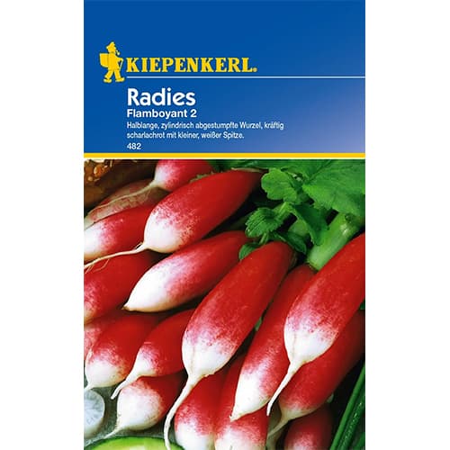 Redkvica Flamboyant 2 slika 1 članek 96650