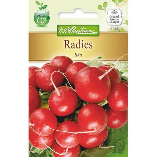 Redkvica Ilka slika 1 članek 78742