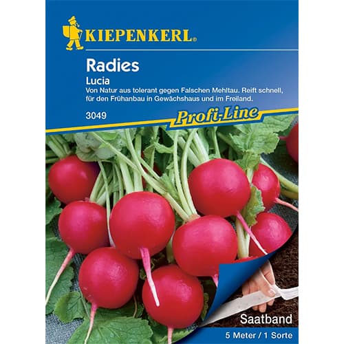 Redkvica Lucia F1 slika 1 članek 86510