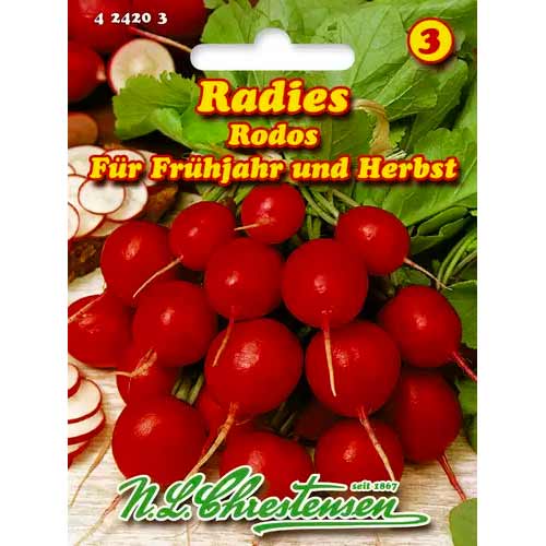 Redkvica Rodos slika 1 članek 50054