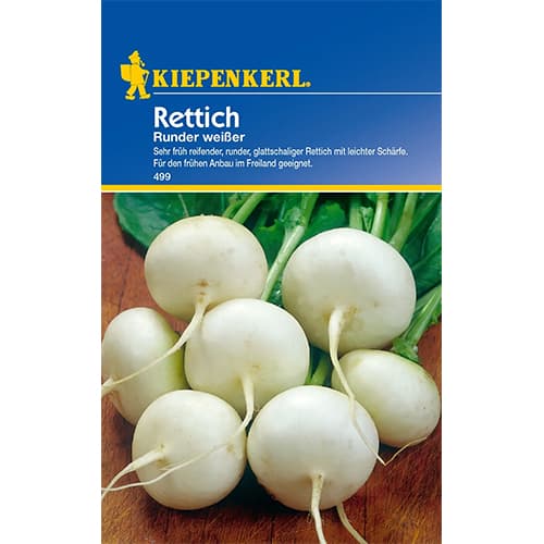 Redkvica Runder Weisser slika 1 članek 87290