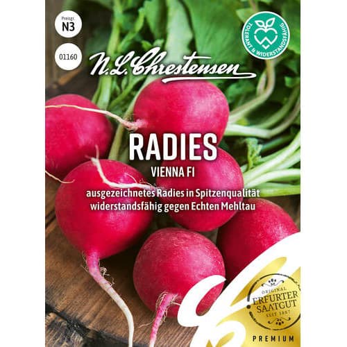 Redkvica Vienna F1 Chrestensen slika 1 članek 96486