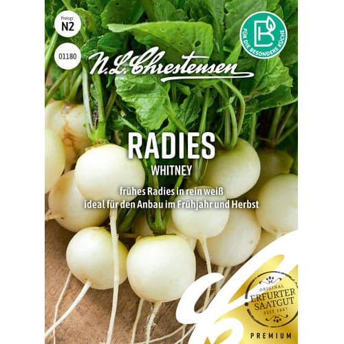 Redkvica Whitney slika 1 članek 96488