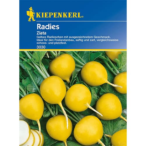 Redkvica Zlata slika 1 članek 96654