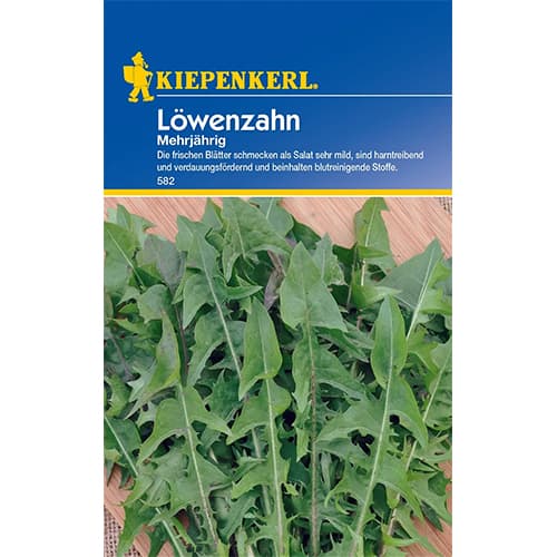 Regrat trajnica slika 1 članek 77491