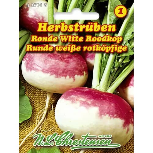Repa Ronde Witte Roodkop slika 1 članek 96477