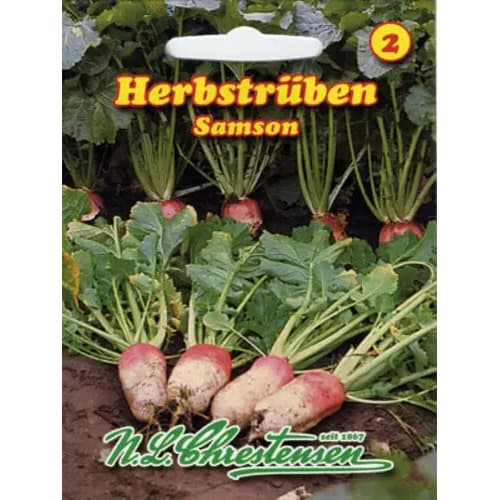 Repa Samson slika 1 članek 96476