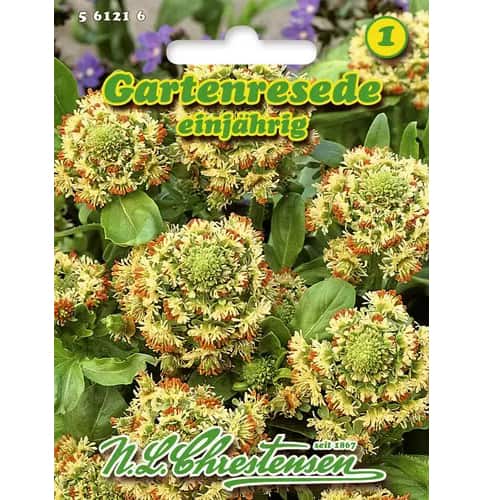 Reseda slika 1 članek 96441