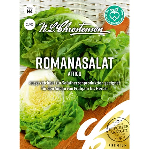 Rimska solata Attico slika 1 članek 86092