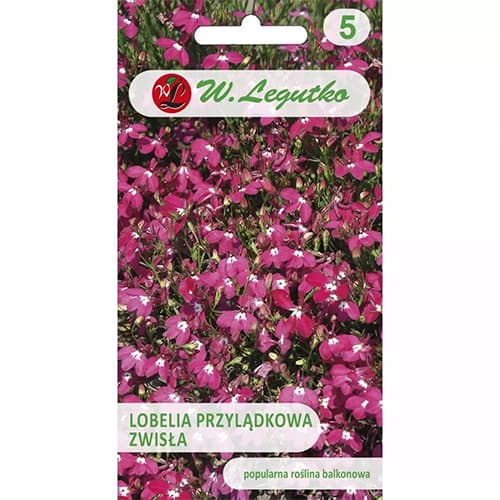 Robna lobelija v lončku slika 1 članek 78622