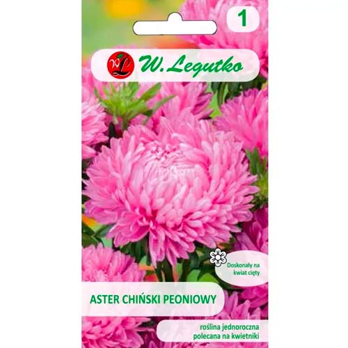 Rožnata potonika kitajska astra slika 1 članek 78524