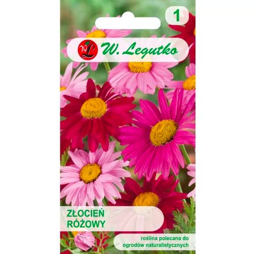 Rožnati piretrum, mešanica slika 1 članek 50125