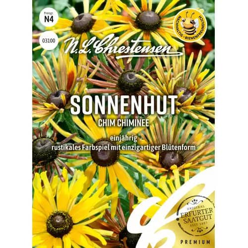 Rudbekija Chim Chiminee slika 1 članek 96452