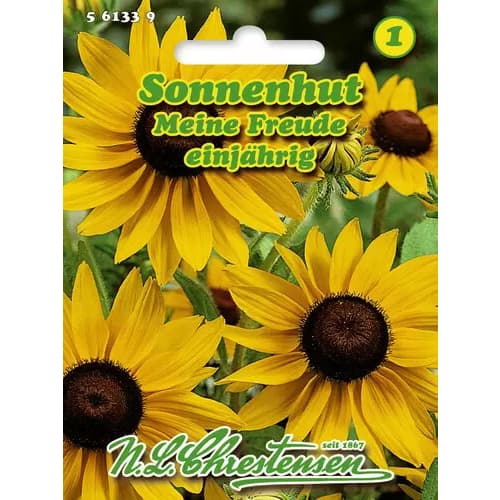 Rudbekija My Joy slika 1 članek 96442