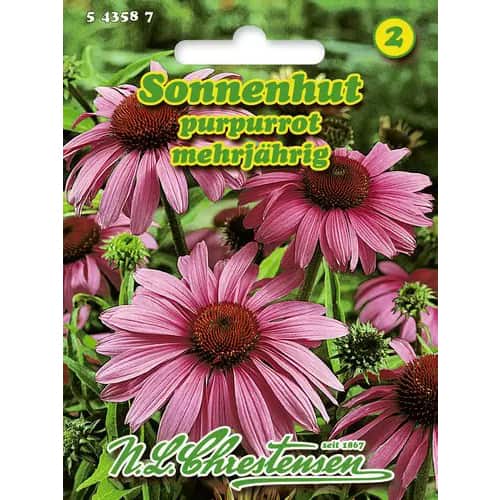 Rudbekija Purpurea slika 1 članek 96443