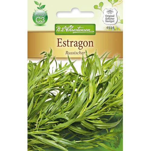 Ruski pehtran slika 1 članek 78852