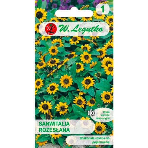 Sanwitalia je bila poslana slika 1 članek 50118