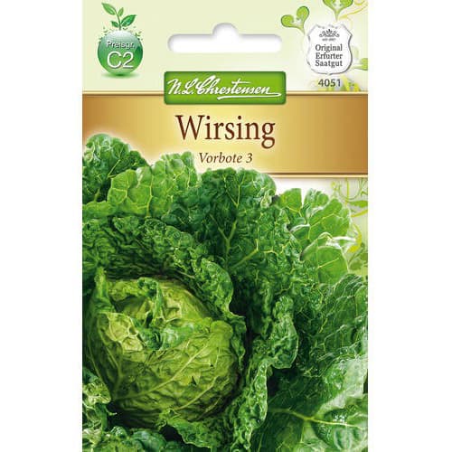 Savojsko zelje Vorbote 3 slika 1 članek 78727