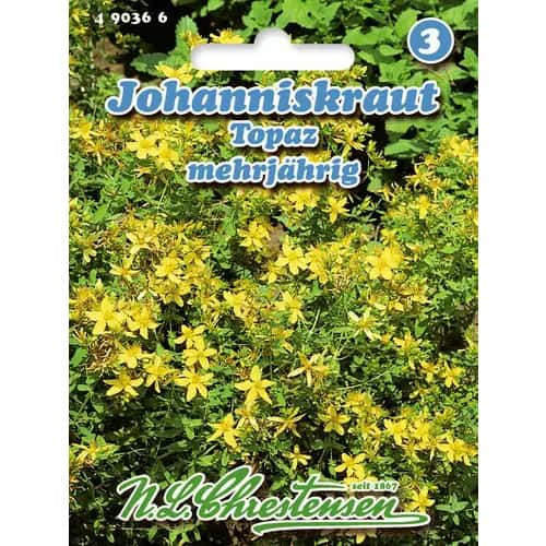 Šentjanževka Topaz slika 1 članek 96431