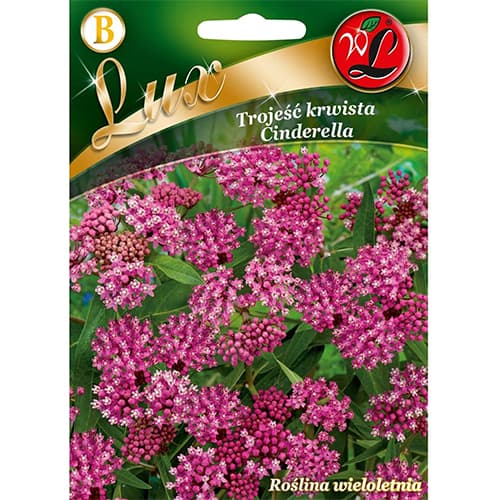 Sirska svilnica Cinderella slika 1 članek 96780