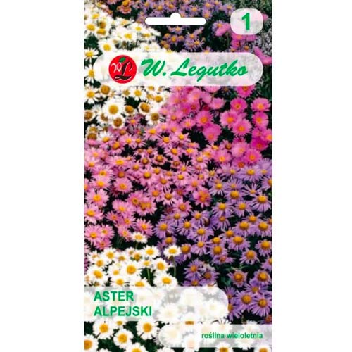 Sivkino modra alpska astra slika 1 članek 78596