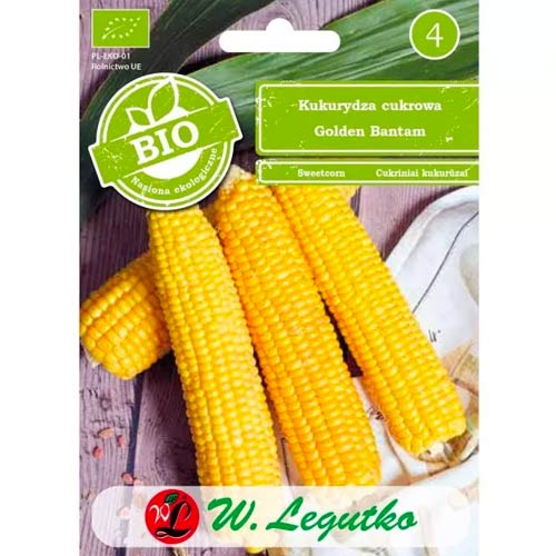 Sladka koruza Golden Bantam slika 1 članek 50131