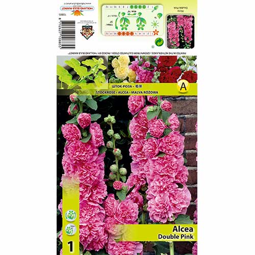 Slez (Alcea) Double Pink slika 1 članek 70323